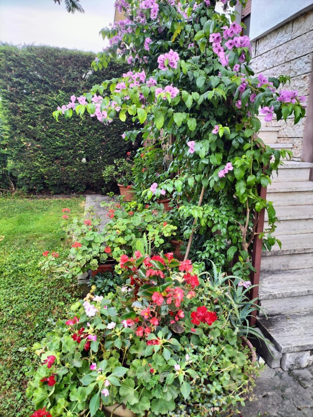 casa belvedere Monzambano Eksteriør billede